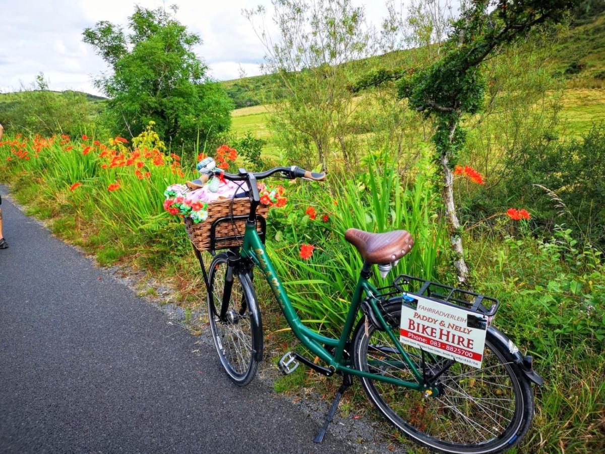 Nellys Bed And Bikes Hotel Уестпорт Екстериор снимка